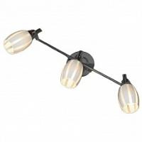 Спот Lussole Brindidi GRLSX-6701-03. Фото №1