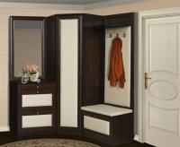Модульная система для Прихожей Благо 6 Композиция 2
