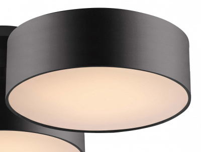 Потолочная люстра Favourite Cerchi 1514-6C. Фото №2