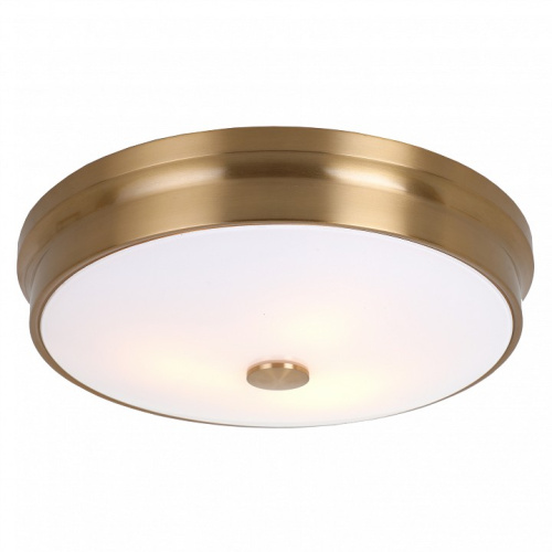 Накладной светильник Favourite Pannikin 2375-3C. Фото №1