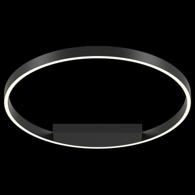 Накладной светильник Maytoni Rim MOD058CL-L35B4K. Фото