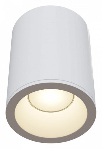 Накладной светильник Maytoni Zoom C029CL-01W фото Накладной светильник Maytoni Zoom C029CL-01W. Фото №1