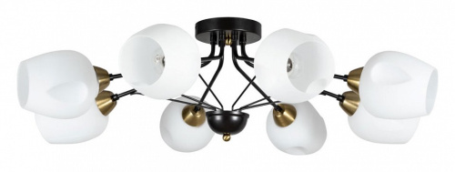 Потолочная люстра Arte Lamp Brighton A2706PL-8CK. Фото №1