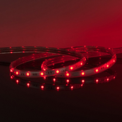 Лента светодиодная Elektrostandard LSTR001 a047023 фото Лента светодиодная Elektrostandard LSTR001 a047023. Фото №2