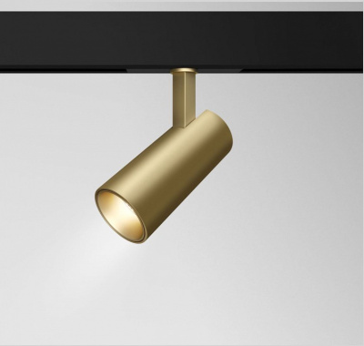 Светильник на штанге Maytoni Technical Track TR019-2-15W4K-MG. Фото №2