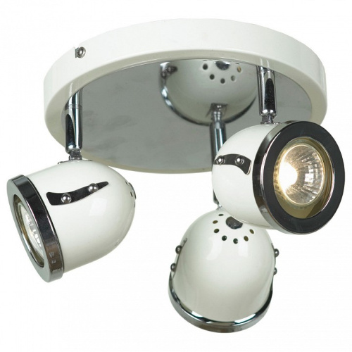 Спот Lussole Tivoli GRLSN-3117-03. Фото №1