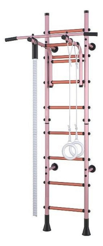 Комплекс спортивный Polini Sport Turbo,. Фото №8