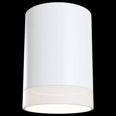 Накладной светильник Maytoni Pauline C008CW-01W. Фото №2